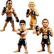 UFC Ultimate Collector Series 9 Revision 1 Figure Case